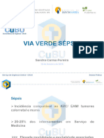 Apresentação VVS CuBU - SandraPereira