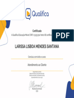 atendimento-ao-cliente-larissa-lisboa-mendes-santana-65ba6b831c077520540504fb (1)