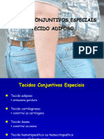 3. Tecidos Conjuntivos Especiais-Tecido Adiposo