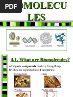 Bio Molecules