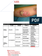 6º Leishmaniasis ExposiciónN