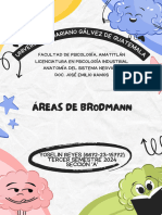 Cuadro Sinóptico de Las Áreas de Brodmann - 042535