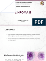 Linfoma B