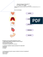 Guía de Ciencias 2° los órganos del cuerpo