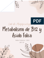 Lab Morfo N°3 Metabolismo de B12 y Acido Folico