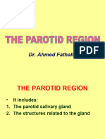 04-The Parotid Region