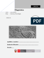 4to - Secundaria CT Diagnóstica 2024