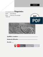 3ro - Secundaria CT Diagnóstica 2024