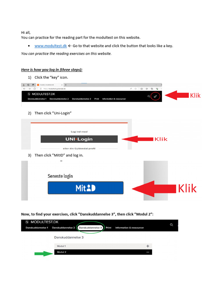 Modultest.dk Reading Practice Guide | PDF | Art