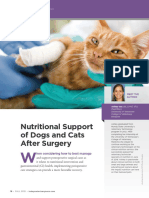 Cox - Post Surgery Nutrition - TVNFall2019