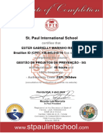 Gestão de Projetos de Prevenção - Sg_Certificado de Conclusão Internacional