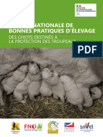 Charte Nationale D'élevage Des Chiots Destinés À La Protection Des Troupeaux