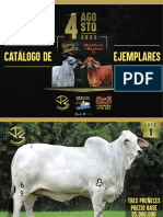 Catalogo Final Remate JPS-5X5-2