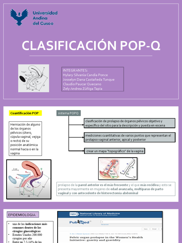 Clasificación POP-Q del Prolapso Pélvico | PDF | Vagina | Medicina CLINICA