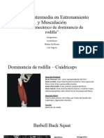 Practica de Musculación 2