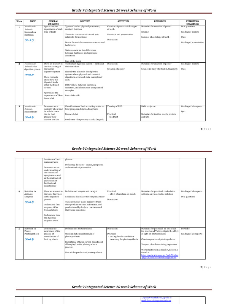 Grade 9 Integrated Science Term 3 Plan | PDF | Photosynthesis | Rock ...