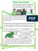 Fisa de Lectura Nivel Avansat - Printesa Si Broscoiul