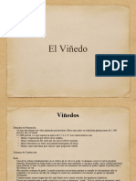 3 Clase IV Viñedo 2