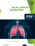 Sistema Respiratorio Generalidades