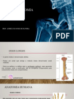 Aula I1 Anatomia Humana: Prof. André Luiz Gomes de Oliveira