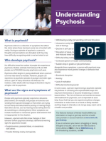 Understanding Psychosis