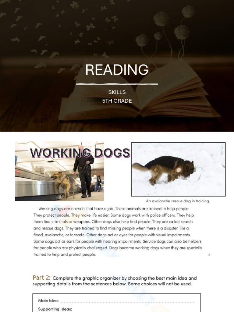 Reading 5TH | PDF
