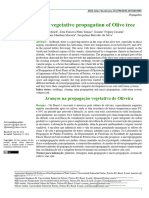 Advances in Vegetative Propagation of Olive Tree: Avanços Na Propagação Vegetativa de Oliveira