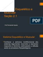 Sistema Esquelético e Muscular Seção 2.1: Prof Fernanda Soares