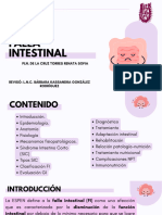 Falla Intestinal 1