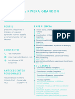 Blue Minimal Infographic Resume (1)