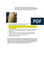 Interrogatorio de Modulo 1