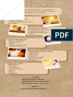Infografia La Ola de Calor