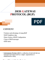 Border Gateway Protocol (BGP)