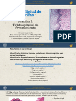 PRACTICA-5.-TEJIDO-EPITELAL-DE-REVESTIMIENTO (3).pptx (1)