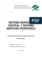 Sistema Nervioso Central y Periferico