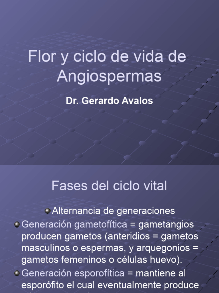Ciclo de Vida y Estructura de Angiospermas | PDF | Flores | Polen