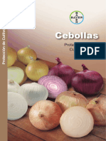 Programa Cebolla JUNIO 2019 en Baja