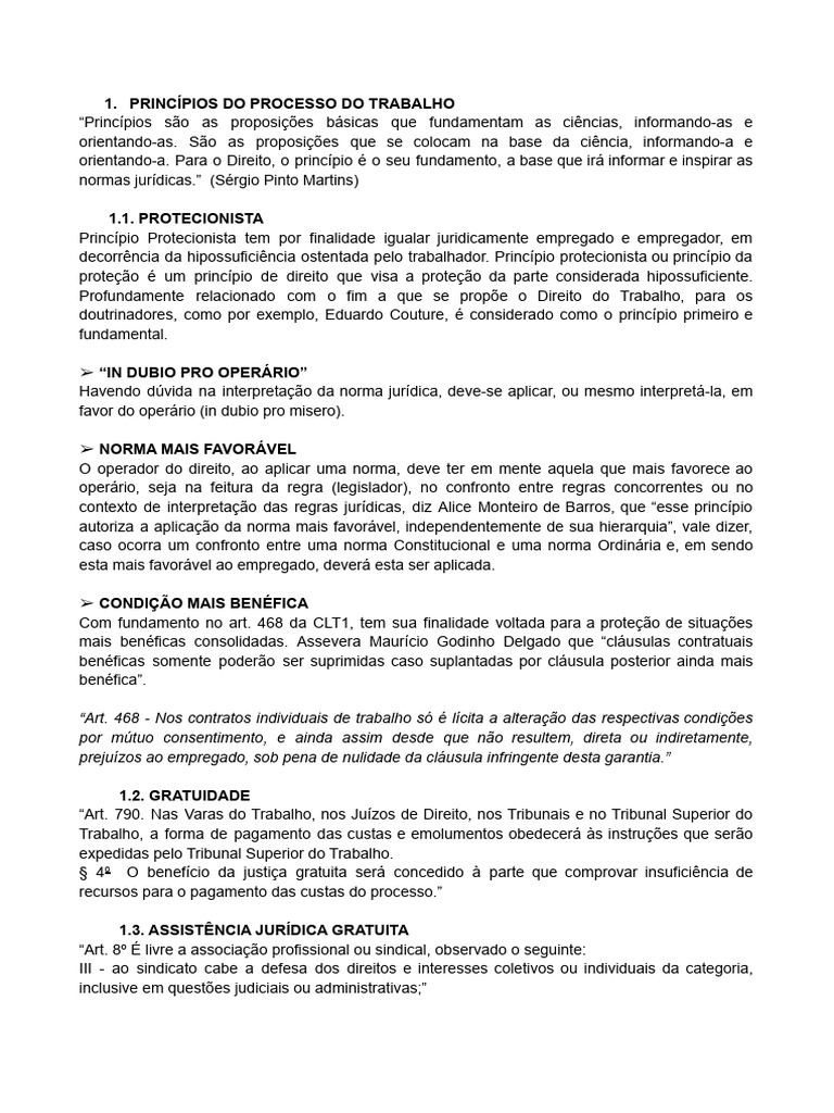 Princípios do Processo do Trabalho | PDF | Citação (jurídico) | Jurisdição