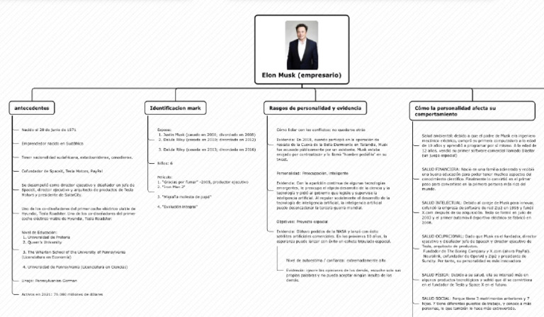 Elon Musk | PDF