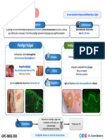 6.1pénfigo Vulgar