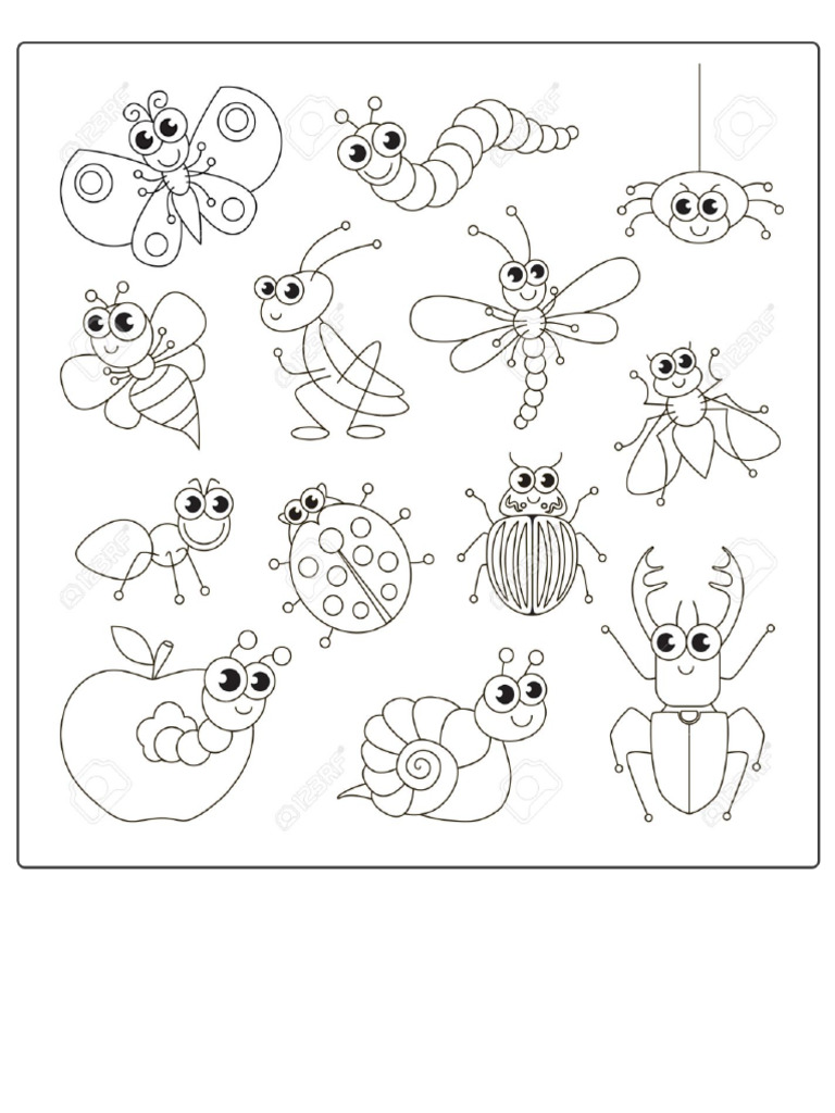 Insectos Para Colorear Preescolar | PDF