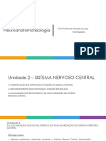 Unidade 2 Seção 2.3 Envoltórios e Vascularização Do SNC