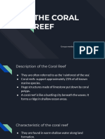 THE CORAL REEF (1)