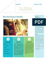 27 Parashat Tazria