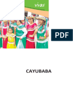 Cayubaba CV