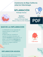 Inflamación y Su Relación Con La Odontología