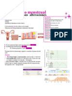 ciclo menstrual