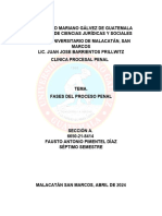 Fases Del Proceso Penal. Fausto Pimentel