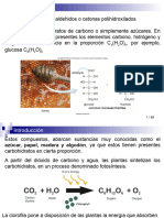 Clase 5a Carbohidratos