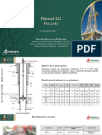 Presentación Platanal 212-2